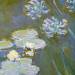Waterlilies and Agapanthus (detail)
